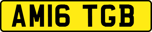 AM16TGB