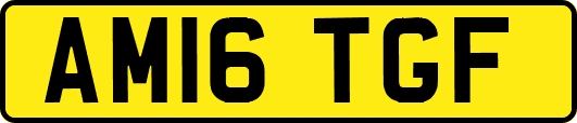 AM16TGF