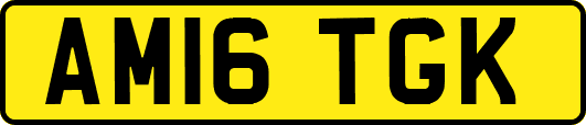AM16TGK