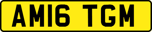 AM16TGM