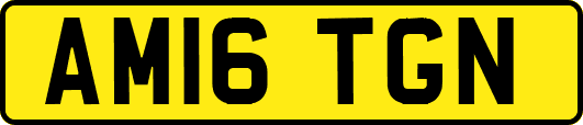 AM16TGN