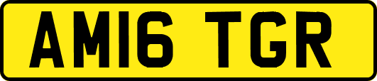 AM16TGR