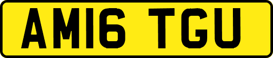 AM16TGU