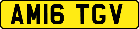 AM16TGV