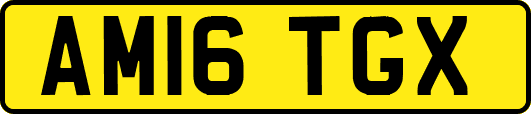 AM16TGX