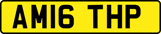 AM16THP