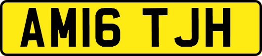 AM16TJH