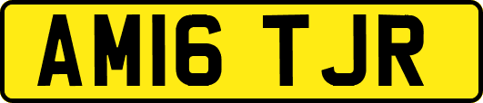 AM16TJR