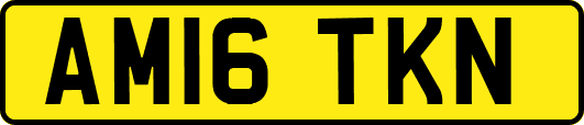 AM16TKN