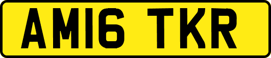 AM16TKR
