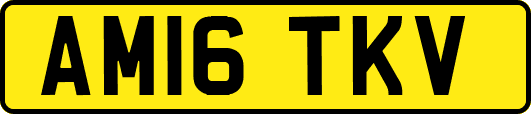 AM16TKV