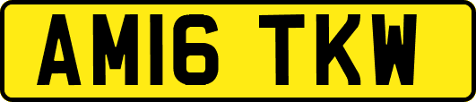 AM16TKW