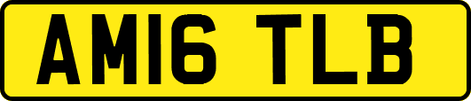 AM16TLB