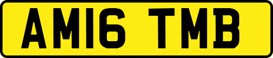 AM16TMB