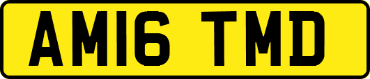 AM16TMD