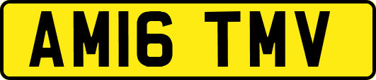 AM16TMV