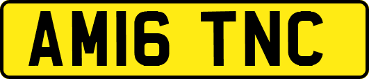 AM16TNC