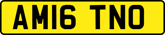 AM16TNO