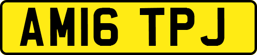 AM16TPJ