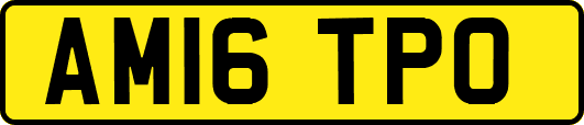 AM16TPO