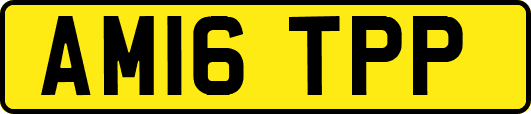 AM16TPP