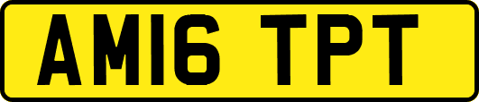AM16TPT