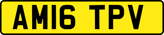 AM16TPV