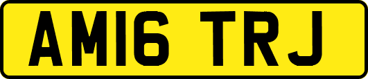 AM16TRJ