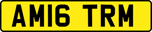 AM16TRM