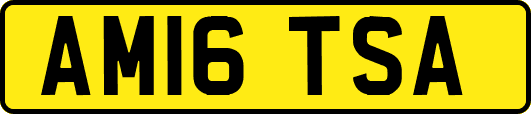 AM16TSA