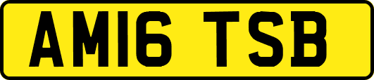 AM16TSB
