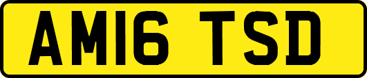 AM16TSD