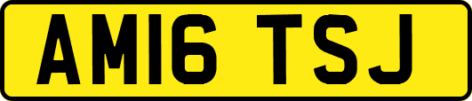 AM16TSJ