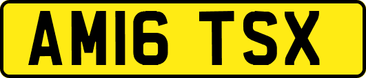 AM16TSX