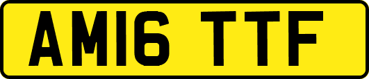 AM16TTF