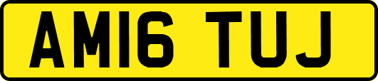 AM16TUJ