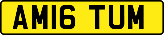AM16TUM