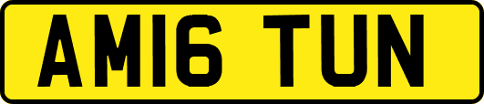 AM16TUN