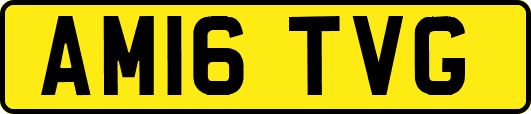 AM16TVG