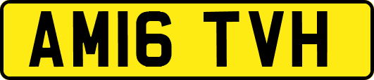 AM16TVH