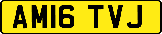AM16TVJ