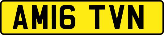 AM16TVN