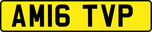 AM16TVP