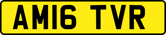 AM16TVR