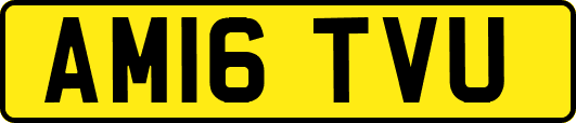 AM16TVU