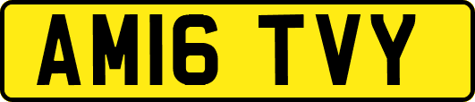AM16TVY