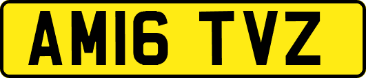 AM16TVZ