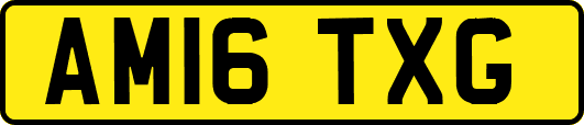 AM16TXG