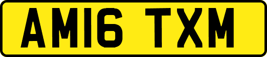 AM16TXM