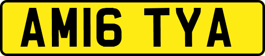 AM16TYA